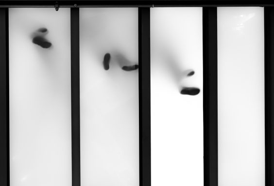 Uwe Müller - von unten nach oben Schwarz-weiße Darstellung von Schuhabdrücken hinter Gitterstäben.