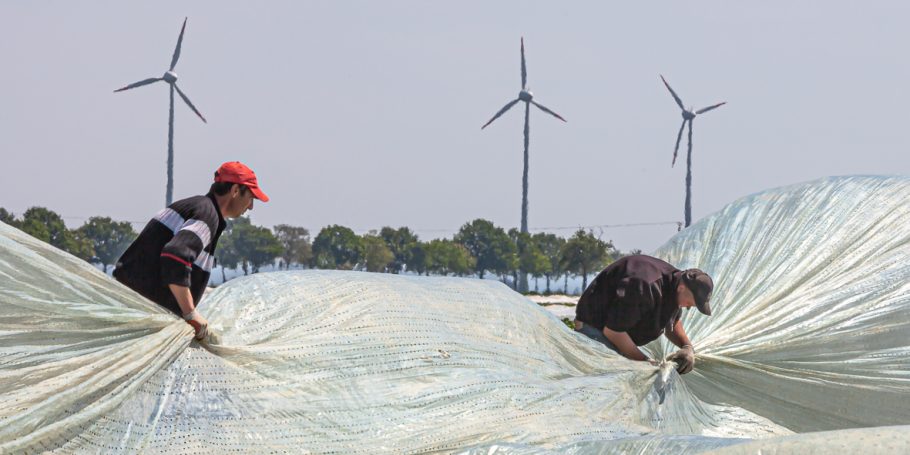 Kampf gegen den Wind Kampf gegen den Wind