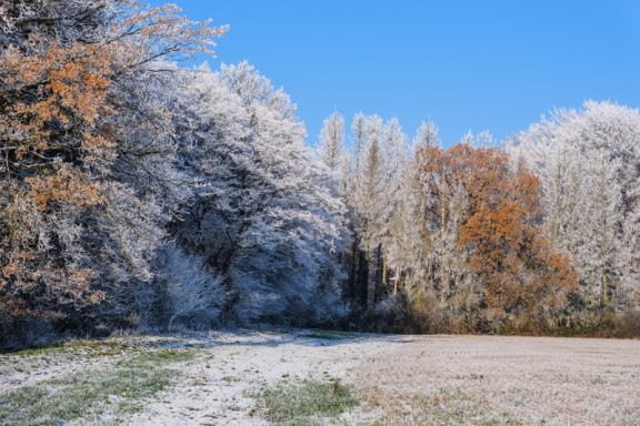 Winter 6 - 2022