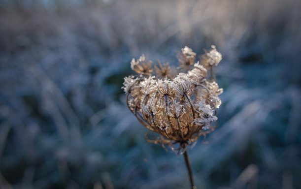 Winter 5 - 2022