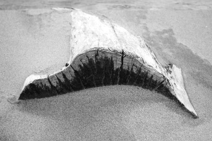 SW -1- Ein schmaler, gewellter Strandsand mit dunklerer Unterseite.