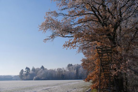 Winter 10 - 2022