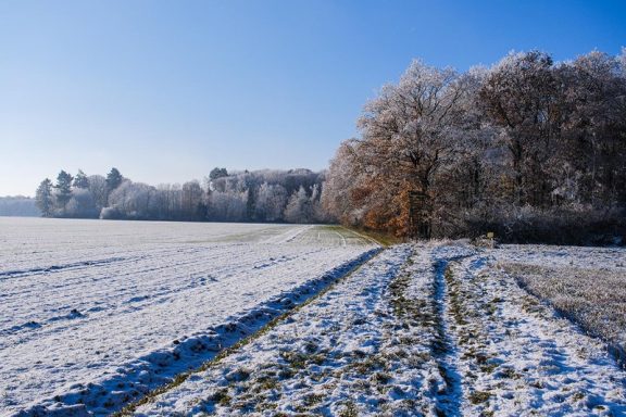 Winter 11 - 2022