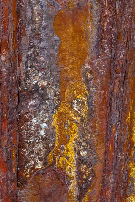 Rost 05 Detailreiche rostige Metalloberfläche mit erdigen Farbtönen und strukturierten Mustern.