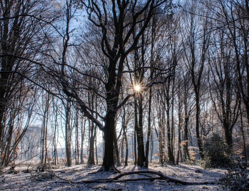 Winter 8 - 2022
