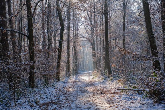 Winter 9 - 2022