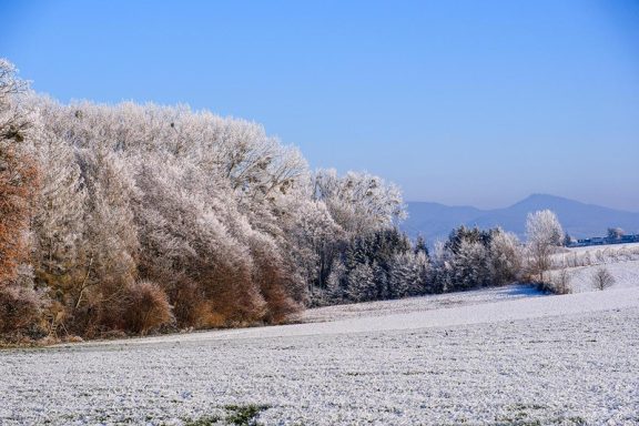 Winter 12 - 2022