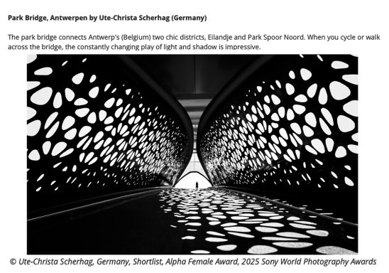 Ute-Christa Sherhag - Park Bridge, Antwerpen Moderne Fußgängerbrücke mit innovativem, strukturiertem Design und Lichtspiel.