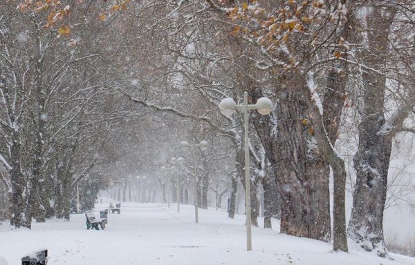 Winter 2 - 2022